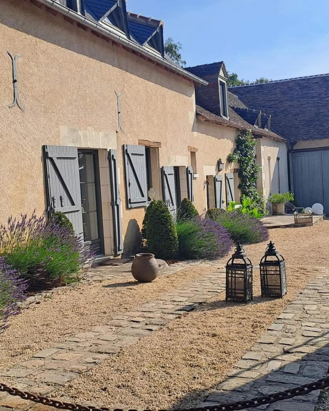 Neuvy-le-Roi Domaine De La Limetiere酒店 外观 照片